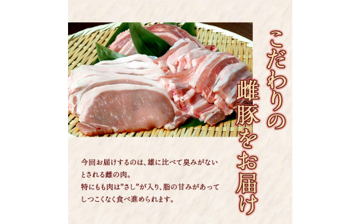 FKP9-285【3ヵ月定期】一勝地赤豚焼肉セット(1kg)