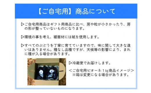 koko-07　ここちとふぁーむ　【ご自宅用】　岡山県産　ピオーネ　約1㎏　2房