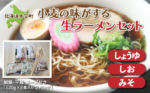 小麦の味がする生ラーメンセット（細麺・平麺・スープ付き）120g×3食入り２パック 【 ふるさと納税 人気 おすすめ ランキング ラーメン 拉麺 らーめん スープ セット 麺 細麺 平麺 味噌ラーメン 塩ラーメン 醤油ラーメン 北海道 大空町 送料無料 】 OSR004