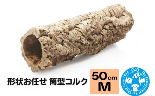 形状お任せ 筒型コルク Mサイズ 長さ50cm エアプランツ 着生植物