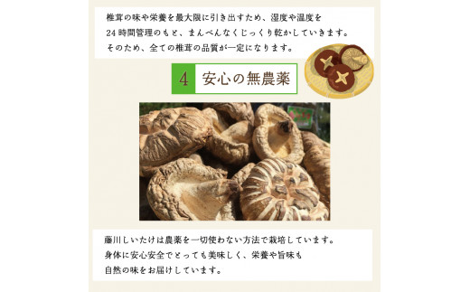 藤川椎茸園の英彦山 乾しいたけ「どんこ 200g 化粧箱入」贈答用 干し 椎茸 [a9134] 藤川椎茸園 【返礼品】添田町 ふるさと納税