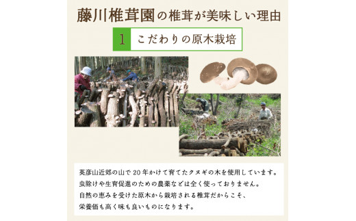 藤川椎茸園の英彦山 乾しいたけ「どんこ 200g 化粧箱入」贈答用 干し 椎茸 [a9134] 藤川椎茸園 【返礼品】添田町 ふるさと納税