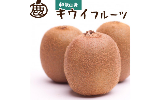 ＜11月より発送＞厳選 キウイフルーツ1kg+30g（傷み補償分）【扁平果】