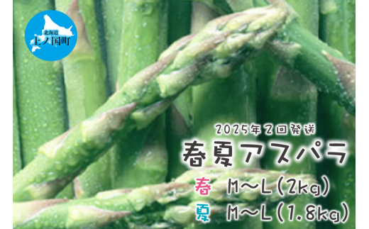 【2025年春夏発送】北海道上ノ国町産 朝採り当日発送 刀祢農園の春アスパラM～L（2㎏）と夏アスパラM～L（1.8㎏）の２回お届け