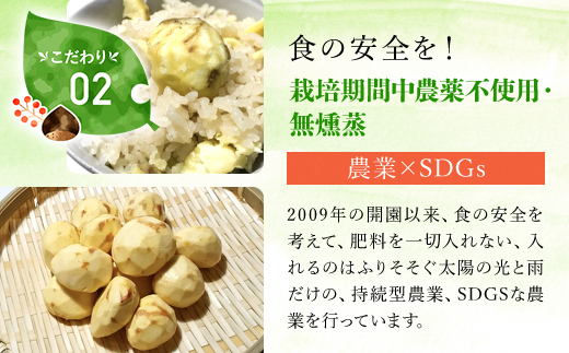 【先行予約11月上旬発送】秦栗園のあま～い氷蔵丹波栗 銀寄2L 2㎏【第1回福知山市ええもん認定】【熟成】  ふるさと納税 栗 くり 人気 和 スイーツ 高級 和菓子 栗菓子 ギフト プレゼント お取り寄せ グルメ 京都府 福知山市　※沖縄・離島配送不可