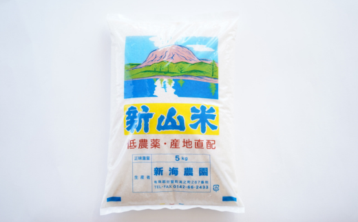 【令和6年産 新米】新山米(ななつぼし)5kg×2袋 10kg 隔月3回お届け 【 ふるさと納税 人気 おすすめ ランキング 北海道 壮瞥 定期便 隔月 新米 米 白米 ななつぼし 甘い おにぎり おむすび こめ 贈り物 贈物 贈答 ギフト 大容量 詰合せ セット 北海道 壮瞥町 送料無料 】 SBTC002