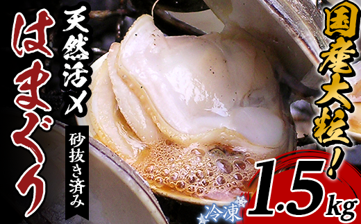 【国産】天然活〆はまぐり冷凍　大粒1.5kg（砂抜き済み） 【はまぐり 大粒 冷凍 味噌汁 はまぐり 貝 魚介類 お吸い物 海鮮】