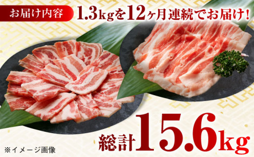 【月1回約1.3kg×12回定期便】大西海SPF豚 バラ（焼肉＆しゃぶしゃぶ用）計15.6kg 長崎県/長崎県農協直販 [42ZZAA103] 肉 豚 ぶた ブタ 豚バラ 焼肉 焼き肉 しゃぶしゃぶ 小分け 満腹 西海市 長崎 九州 定期便