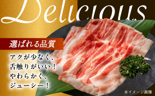 【月1回約1.3kg×12回定期便】大西海SPF豚 バラ（焼肉＆しゃぶしゃぶ用）計15.6kg 長崎県/長崎県農協直販 [42ZZAA103] 肉 豚 ぶた ブタ 豚バラ 焼肉 焼き肉 しゃぶしゃぶ 小分け 満腹 西海市 長崎 九州 定期便