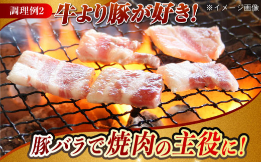 【月1回約1.3kg×12回定期便】大西海SPF豚 バラ（焼肉＆しゃぶしゃぶ用）計15.6kg 長崎県/長崎県農協直販 [42ZZAA103] 肉 豚 ぶた ブタ 豚バラ 焼肉 焼き肉 しゃぶしゃぶ 小分け 満腹 西海市 長崎 九州 定期便