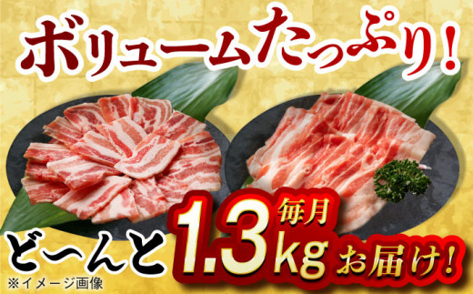 【月1回約1.3kg×12回定期便】大西海SPF豚 バラ（焼肉＆しゃぶしゃぶ用）計15.6kg 長崎県/長崎県農協直販 [42ZZAA103] 肉 豚 ぶた ブタ 豚バラ 焼肉 焼き肉 しゃぶしゃぶ 小分け 満腹 西海市 長崎 九州 定期便