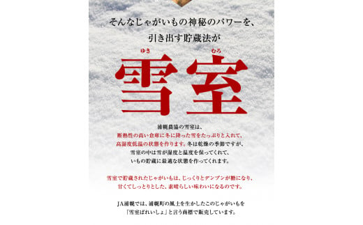 雪室じゃがいも10kg（男爵）雪室貯蔵で甘くなったじゃがいも 《3月中旬-3月下旬頃出荷》