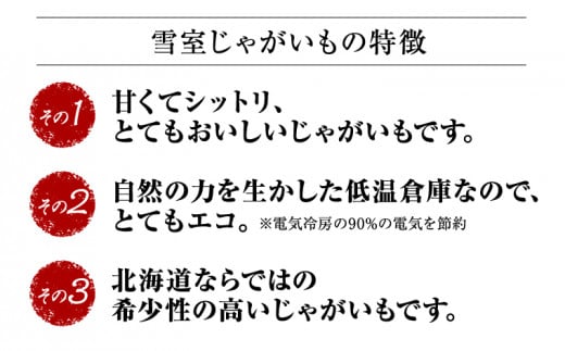 雪室じゃがいも10kg（男爵）雪室貯蔵で甘くなったじゃがいも 《3月中旬-3月下旬頃出荷》