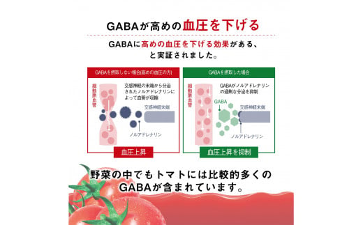 【定期便 2ヶ月】 カゴメ トマトジュース 200ml 48本×2回 【 野菜ジュース 紙パック 定期便 カゴメトマトジュース トマト 100％ ジュース 飲料 セット 健康 リコピン GABA 着色料 保存料 不使用 機能性表示食品 完熟 野菜飲料 ドリンク 野菜ドリンク 備蓄 長期保存 防災 飲みもの かごめ kagome KAGOME 長野県 富士見町 】