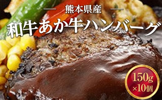 熊本県産 和牛 あか牛ハンバーグ 150g×10