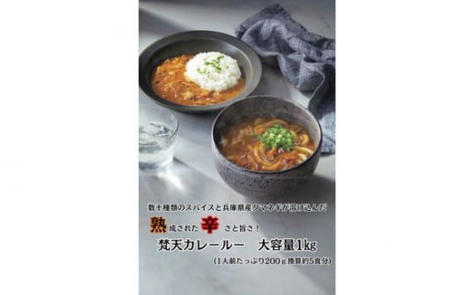 No.389 大容量パック　梵天カレールー　1kg ／ 名物カレー スパイス 自家製麺 地元産野菜 兵庫県