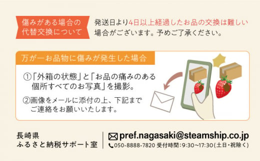 ＜2024年11月中旬～発送＞長崎県産いちご ゆめの香 【大粒！】約1kg（250g×4パック）長崎県/わたる農園 [42AABB002]