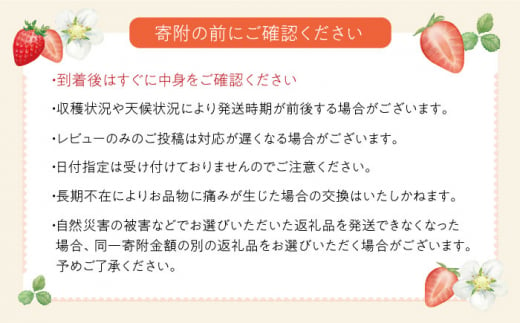 ＜2024年11月中旬～発送＞長崎県産いちご ゆめの香 【大粒！】約1kg（250g×4パック）長崎県/わたる農園 [42AABB002]