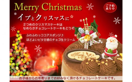 北海道・新ひだか町のクリスマスケーキ『生チョコラータ』口どけなめらか 生チョコレートケーキ【お届け予定：12/20～12/24】冷凍発送 クリスマスケーキ クリスマス チョコレートケーキ