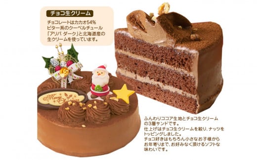 北海道・新ひだか町のクリスマスケーキ『生チョコラータ』口どけなめらか 生チョコレートケーキ【お届け予定：12/20～12/24】冷凍発送 クリスマスケーキ クリスマス チョコレートケーキ