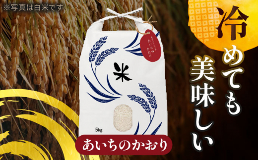 【7月発送】愛知県産あいちのかおり 玄米10kg 特別栽培米 お米 ご飯 愛西市 / 戸典オペレーター [AECT027-7]