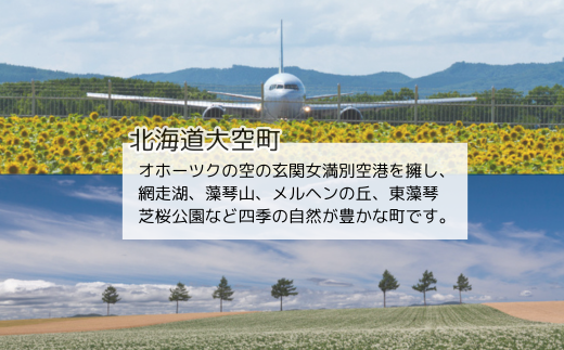 【北海道大空町】旅行割引クーポン券15,000円分 【 ふるさと納税 人気 おすすめ ランキング 旅行 割引 クーポン 宿泊 航空券 観光 温泉 資料館 公園 北海道 大空町 送料無料 】 OST002