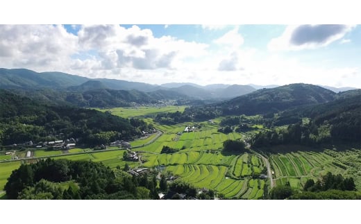 ＜大阪能勢特産＞ 栗の花はちみつと能勢の花々はちみつ 各2個セット【1077987】