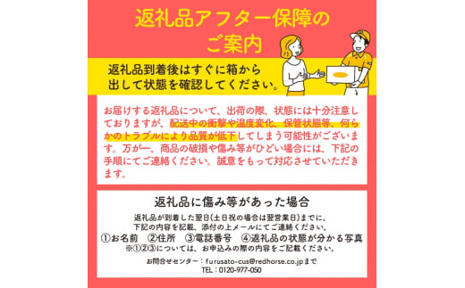 【2024年/令和6年度発送分！先行予約】信州のりんご 秋映 約3kg りんご リンゴ 林檎 長野 フルーツ 果物 信州産 長野県産 特産 産地直送 おすすめ [№5675-1147]