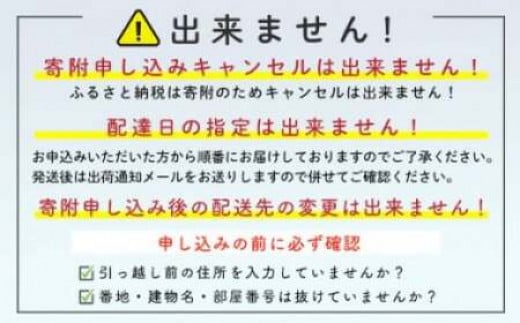 【先行予約】北海道森町産 活ホタテ3年貝 2.5kg（約10-15枚）（2024年2月以降発送）＜道産ネットミツハシ＞ 森町 ほたて 帆立 ホタテ 活ホタテ 活帆立 海産物 魚貝類 ふるさと納税 北海道 mr1-0439