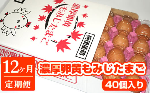 濃厚卵黄もみじたまご【40個入り】【12ヶ月連続】定期便 [No.938] ／ タマゴ 純国産 新鮮 採れたて 岐阜県 特産