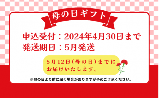 【母の日までにお届け！】幻のクエ！国産 天然クエ鍋 500g くえ 鍋 セット 【2024年5月発送】【fki104-md】