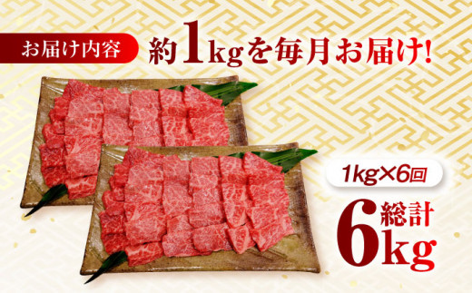 【月1回約1kg×6回定期便】長崎和牛 ロース 焼肉用 計6kg 長崎県/長崎県農協直販 [42ZZAA169]  肉 牛 和牛 ロース 焼肉 焼き肉 西海市 長崎 九州 定期便