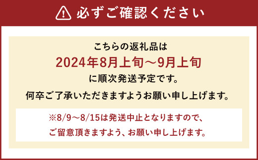  豊水梨 9～12玉 約5kg ナシ 梨 福岡県産