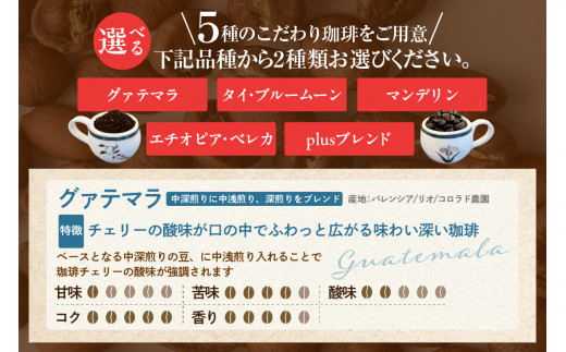  【スペシャリティ珈琲豆】マンデリン+Plusブレンド珈琲 ／ コーヒー コーヒー豆 焙煎 ブレンド 愛知県