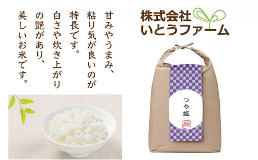 【3ヶ月定期便】いとうファームの令和6年産「つや姫」5kg ※2024年10月下旬より順次発送予定