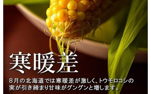 【2025年分先行予約】北海道十勝芽室町 北海道十勝 芽室町産 朝獲れ とうもろこし 味来 30本  me035-006c-25