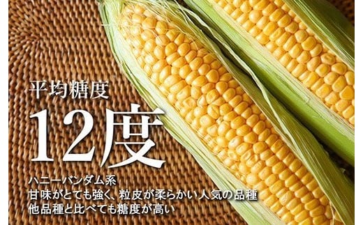 【2025年分先行予約】北海道十勝芽室町 北海道十勝 芽室町産 朝獲れ とうもろこし 味来 30本  me035-006c-25