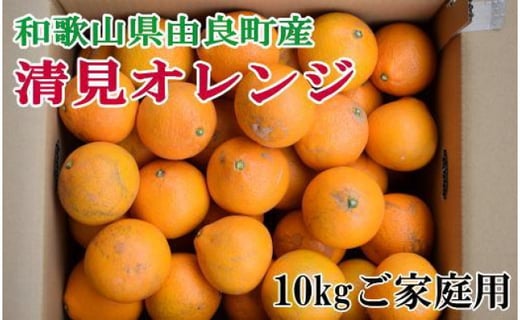 【訳あり・ご家庭用】和歌山由良町産の濃厚清見オレンジ約10kg★2025年2月中旬頃より順次発送【TM132】