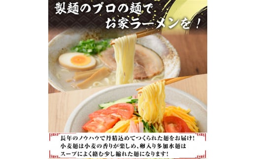 業務用麺 細ラーメン・卵入り多加水ラーメン(合計30袋・2種)ラーメン 拉麺 中華麺  冷やし中華 冷麺 つけ麺 つけめん 個食包装 個包装 小分け 冷凍 【福永食品】a-12-242-z