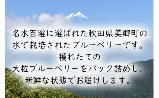 くろかわ農園 ブルーベリー 2kg（500g×4パック）