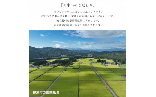 ＜令和6年産米＞福島県柳津町産こしひかり10kg(5kg×2)〈令和6年11月下旬発送〉【1429866】