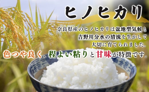 N06 【定期便】奈良県産 ヒノヒカリ 精米 5kg × 6回 合計 30kg (6回お届け) | 米 こめ コメ お米 オコメ おこめ 奈良県 御杖村  米 白米