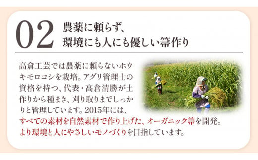 【南部箒】伝統工芸南部箒 小箒 『緑』 高倉工芸 ほうき 室内 ホウキ おしゃれ 玄関 掃除 掃除道具 お掃除グッズ《30日以内に出荷予定(土日祝除く)》