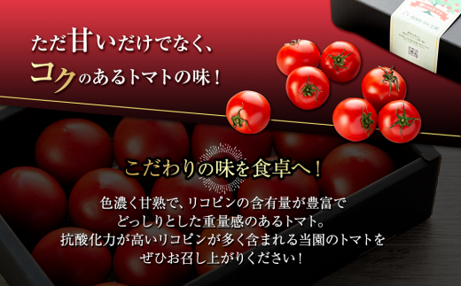 トマト フルーツトマト ルージュフルーツトマト 1kg 糖度8度以上 産地直送 厳選 樹上甘熟 長野県産 野菜 甘い コク 酸味  爽やか ビタミン ミネラル 栄養 リコピン 抗酸化力 美容 健康  [№5675-1388]