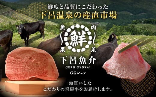 【定期便 3回】高級 飛騨牛食べ比べ 定期便 3カ月 毎月 【冷蔵配送】 定期 贈答 ギフト 牛肉 焼き肉 牛 下呂 焼肉 ブランド牛 下呂魚介 肩ロース すき焼き しゃぶしゃぶ 下呂市