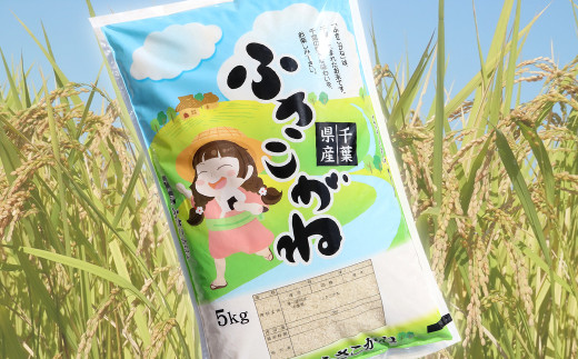 【定期便6ヶ月】令和5年 千葉富津産「ふさこがね」5kg精米