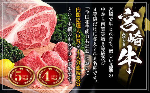 宮崎牛＆宮崎和牛（モモ焼肉／小間切れ）計500g 国産 肉 牛肉 ご飯 おかず すき焼き 牛丼 BBQ お弁当【B563-24-30】