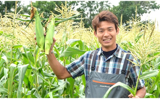 《先行受付》令和7年発送 北海道産 とうもろこし 食べ比べ ピュアホワイト10本＆あまいんです10本 朝採れ 一番果 生食 産地直送 数量限定 期間限定 NP1-171