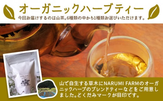 山茶 Youth 1パック NARUMIFARM《30日以内に出荷予定(土日祝除く)》｜ お茶 茶 ハーブティー 自然栽培 ブレンドティー ブレンド オーガニック 飲料 飲み物 お家時間 徳島県 上勝町 送料無料