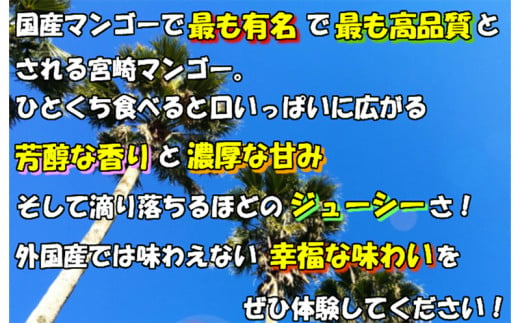 【2025年発送先行予約】《期間・数量限定》完熟！宮崎マンゴー 特秀 大玉3Lサイズ 2玉化粧箱入り_M183-002_01